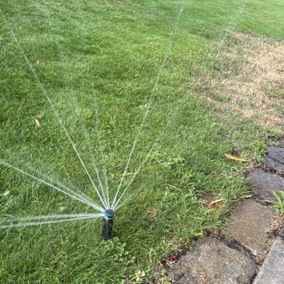 bewässerungsanlage rasen installation wasserverteilung versenkregner