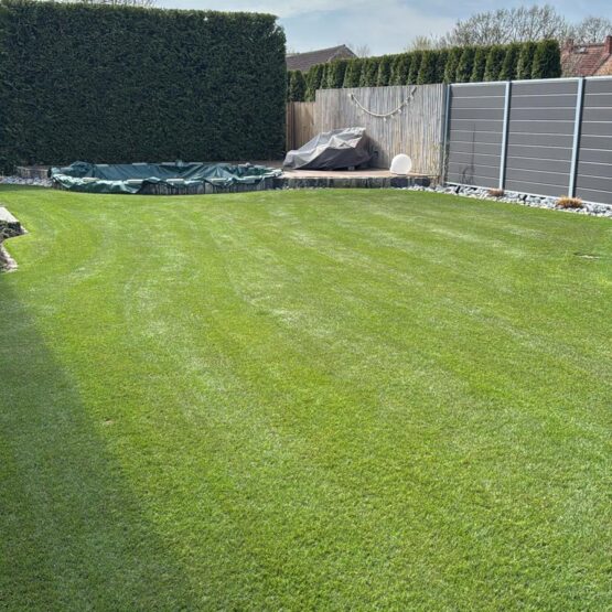 rasenpflege sanden nach aerifizieren verbesserte drainage rasenfläche